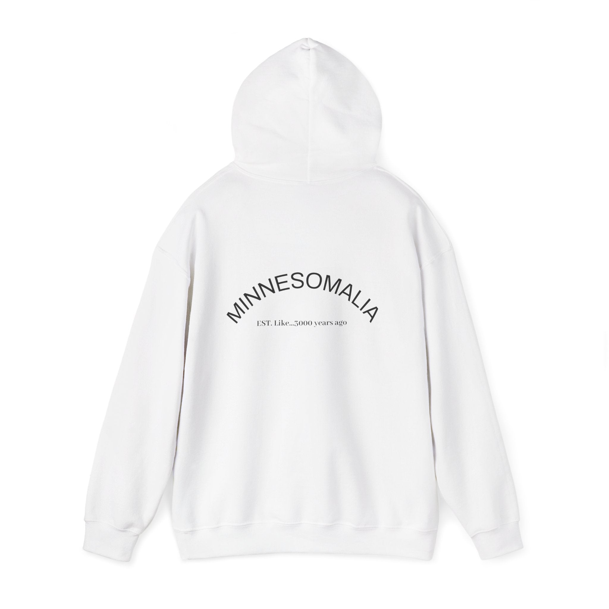 Status: Verified™ Hoodie – Officially Processed Edition